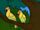 Parrot