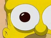 Homer's eye