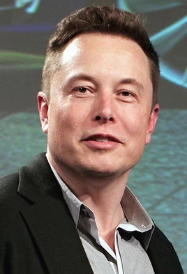 Elon Musk (Not Character)