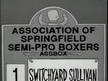 Associationboxer
