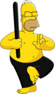 Homer Ninja (1)