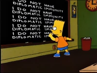 "I do not have diplomatic immunity."