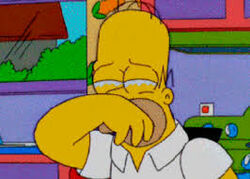 Triste homer