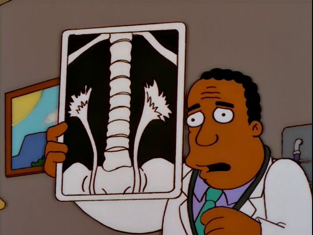 homer movie er doctore dude homer movie er doctore dude