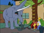 Bart Gets an Elephant 41