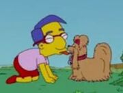 Milhouse kissing his dog