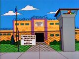 Springfield Elementary School and Prison