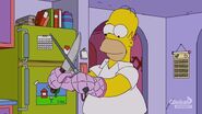 Mmm homer (8)