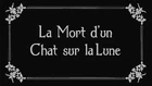 La Mort d'un Chat sur la Lune