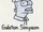 Galston Simpson
