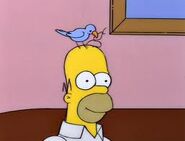 Homer's bird grooming Homer.