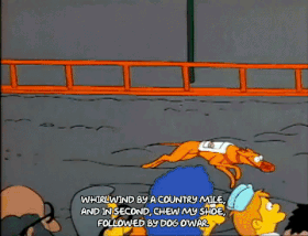 Dogs run.gif