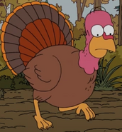 As a turkey