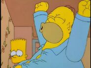 Homer gains enough weight to be considered disabled in "King-Size Homer".