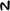 Lettera N.png