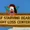 Chief Starving Bear Weight Loss Center