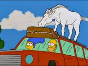 Horseoncsr.jpg