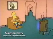 Bart watches TV