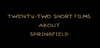22springfield