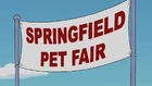 Springfield Pet Fair
