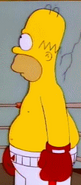 Homer Boxer