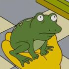 Bart Junior (frog)