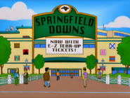 Springfield downs