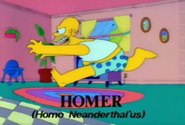 Homer Alone Looney Tunes Homer