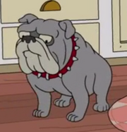 Poochini.png