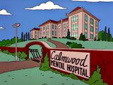 Calmwood Mental Hospital