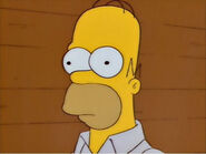 Homer's dimwitted expression