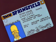 Homer license