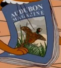 Audubon Magazine