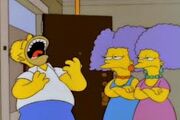 Homervsselmaepatty.jpg