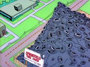 Homer's Odyssey Tire Yard