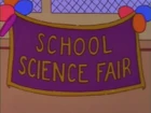 Springfield Elementary's Annual Science Fair