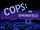 COPS: In Springfield