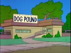 Springfield Dog Pound