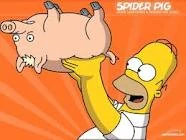 4hfjtrjfjffhfxj.jpg (6 kB)