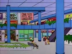 Interior of the Springfield Mall in Homer's Phobia