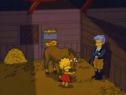 Lisa's Pony 98