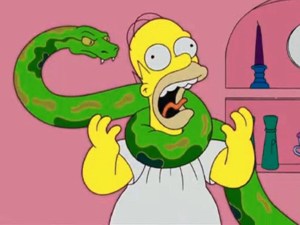 Simpsons Style Animation Snake Jailbird Throws Boxing Hook Punch