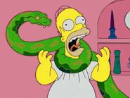 Homer gets squeezed and strangled and suffocated by Bart's new pet python.