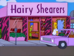 Hairy shearers