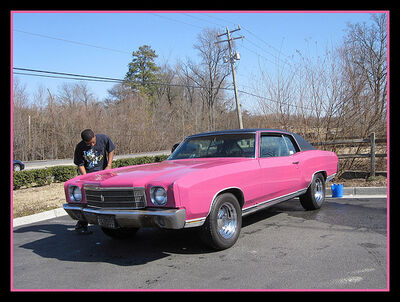 1979 Pink Car