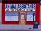 Animal Assistants