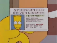 Bart's fake driver's license