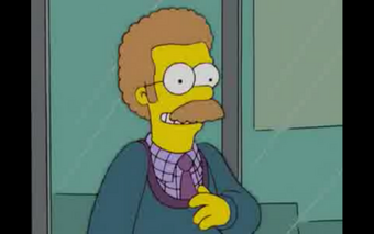 Ned Flanders Simpsons Wiki Fandom