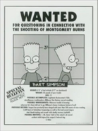Bart mugshot