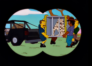 Simpson Safari 196